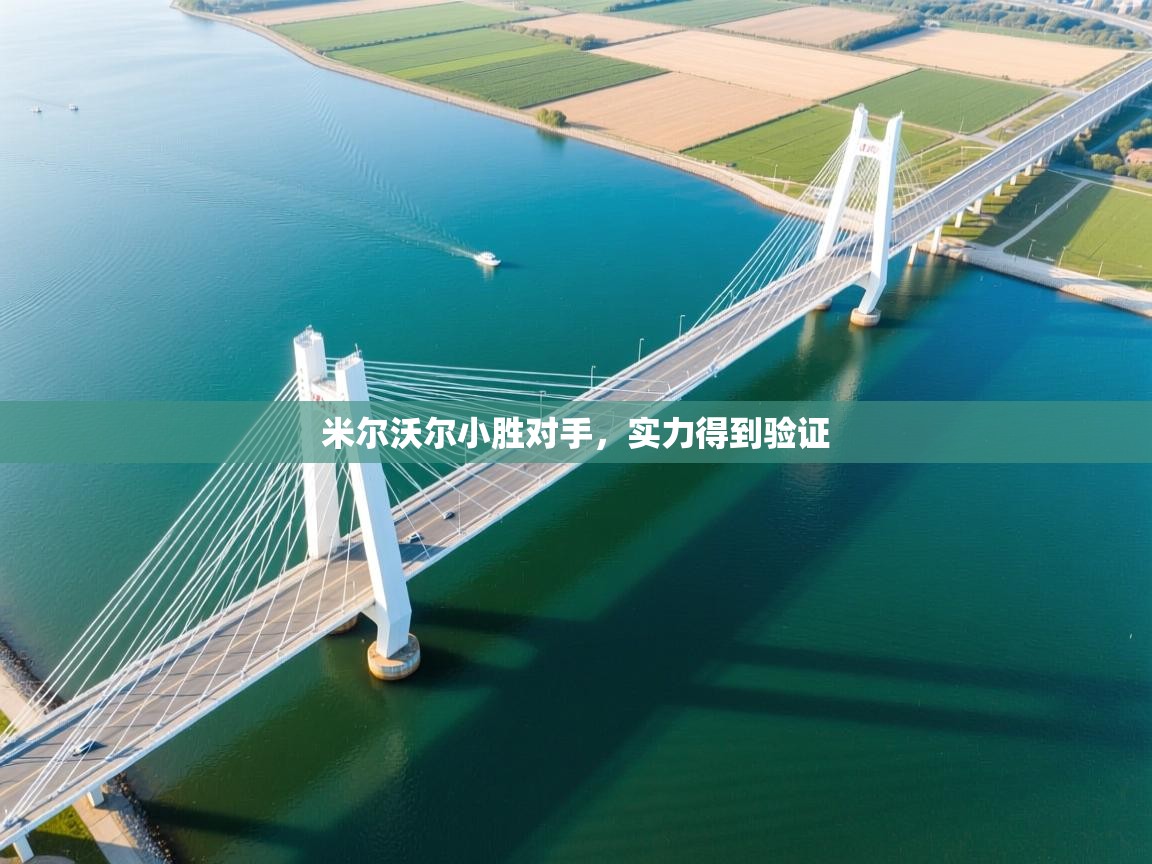 米尔沃尔小胜对手，实力得到验证  第1张